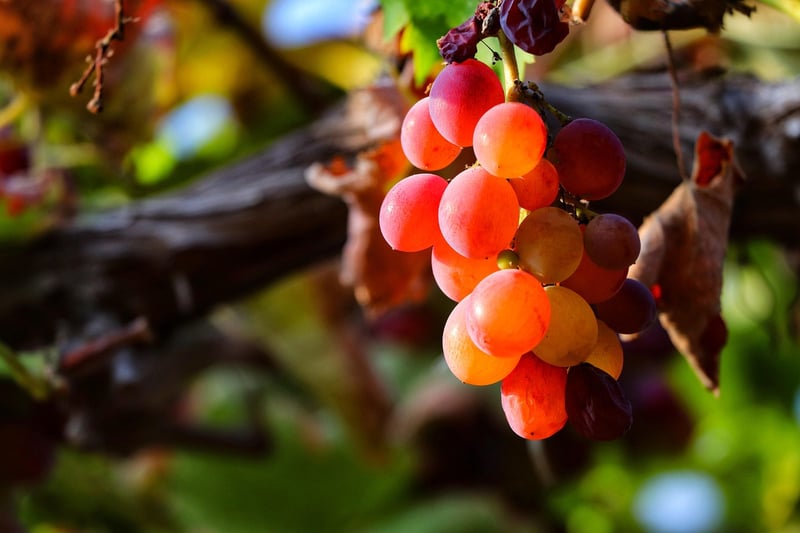 Spring Fresh Picks